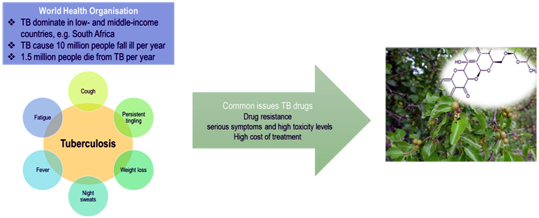 Graphical Abstract
